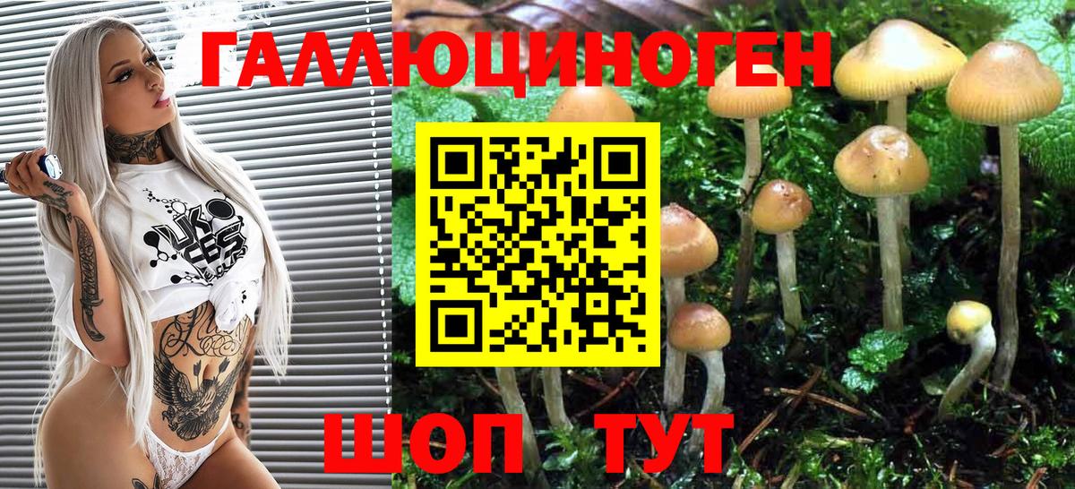 Псилоцибиновые грибы Psilocybe  Вход с VPN  Ростов Великий 